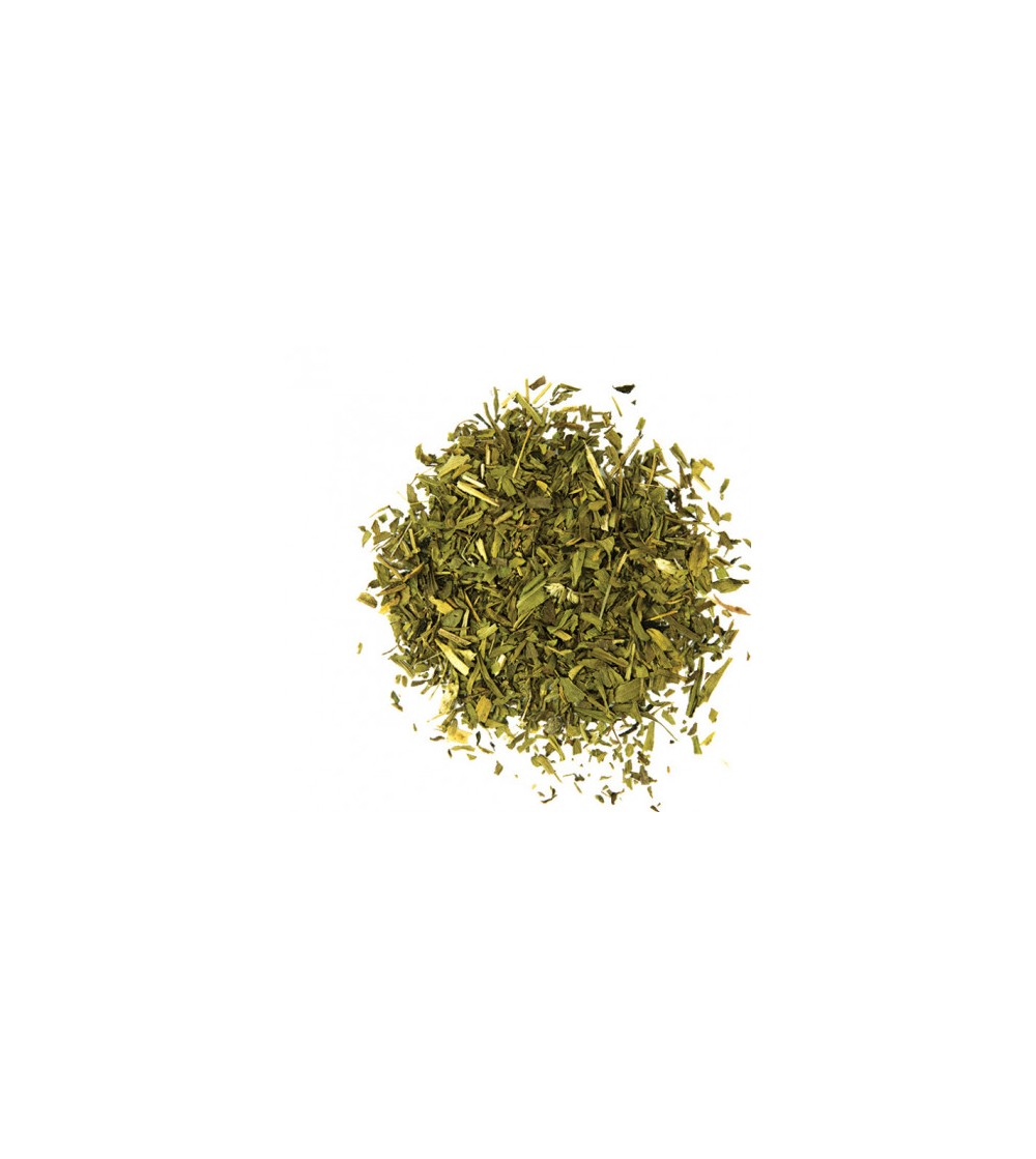 Estragone, Artemisia dracunculus foglie taglio tisana (Dragoncello)