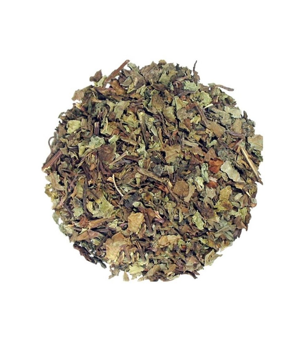 Ortosiphon (Tè di Giava), Orthosiphon stamineus foglie taglio tisana