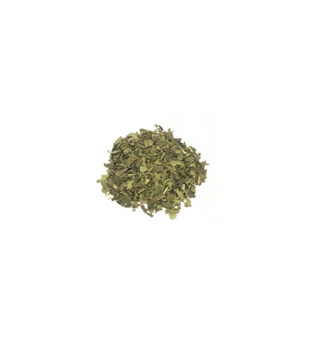Piantaggine, Plantago lanceolata foglie taglio tisana