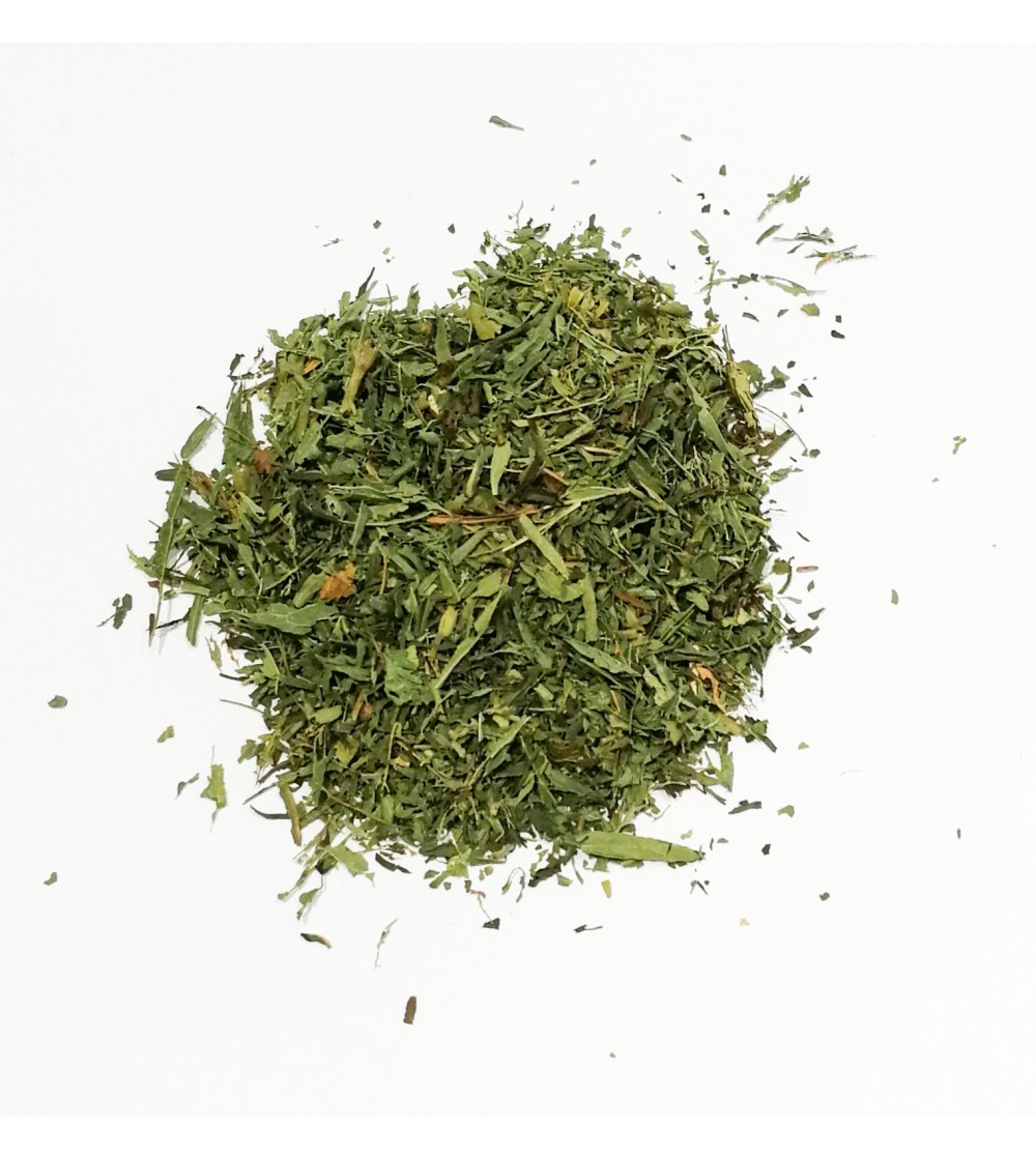 Stevia rebaudiana foglie taglio tisana