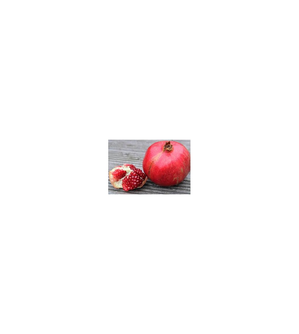 Melagrana, Punica granatum scorza (pericarpo) del frutto taglio tisana 500 g
