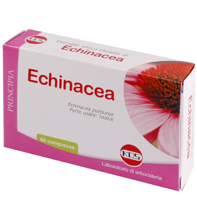 Echinacea compresse