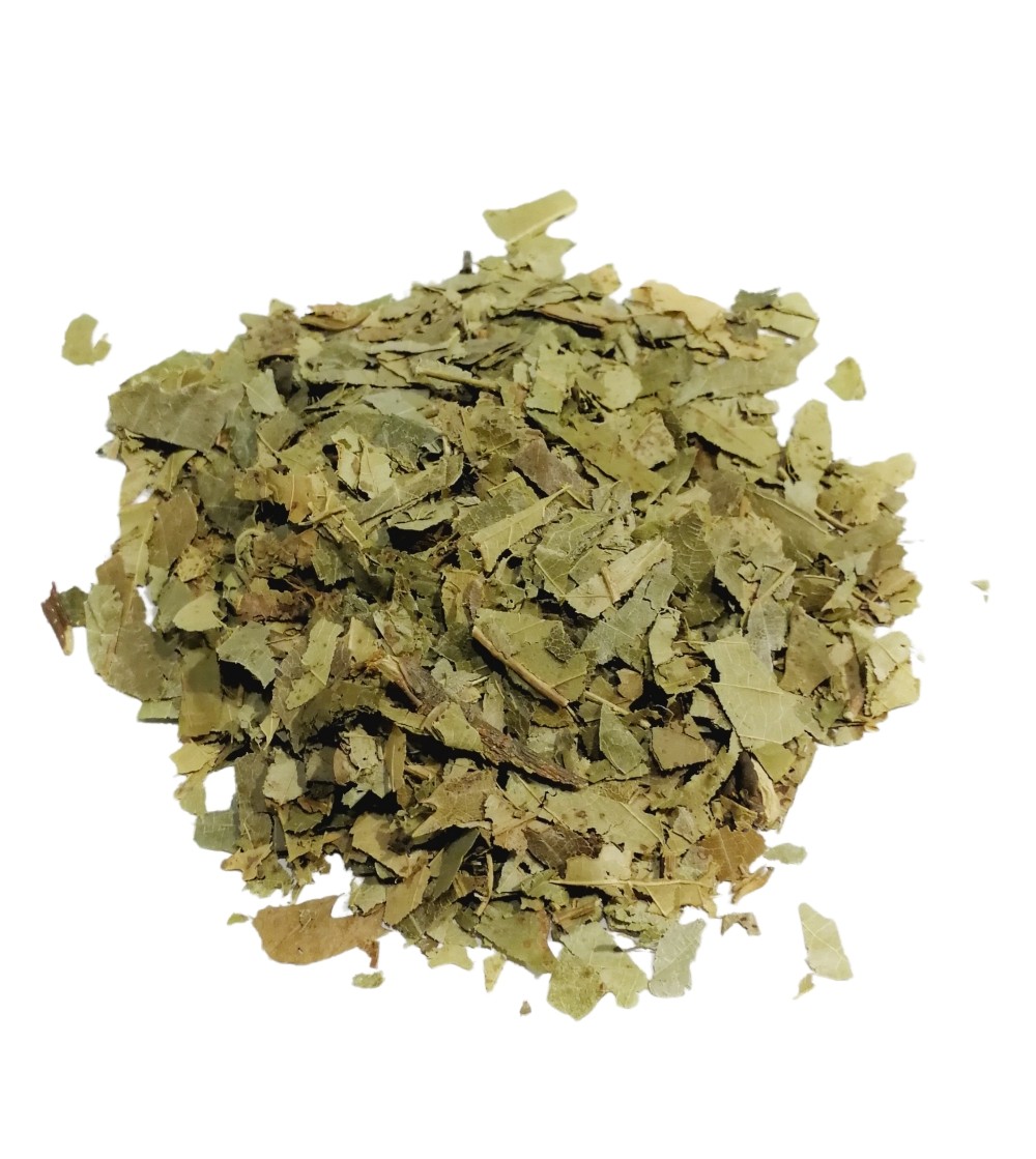 Castagno, Castanea sativa foglie taglio tisana 500 g
