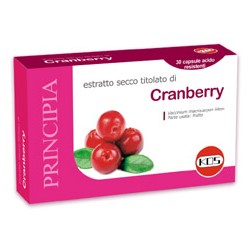 Cranberry, mirtillo rosso americano Kos